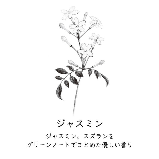 【GRASSE TOKYO】ペーパーインセンス＜紙のお香＞ /ジャスミン